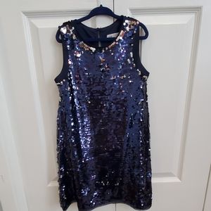 Reversible Sequin Dress